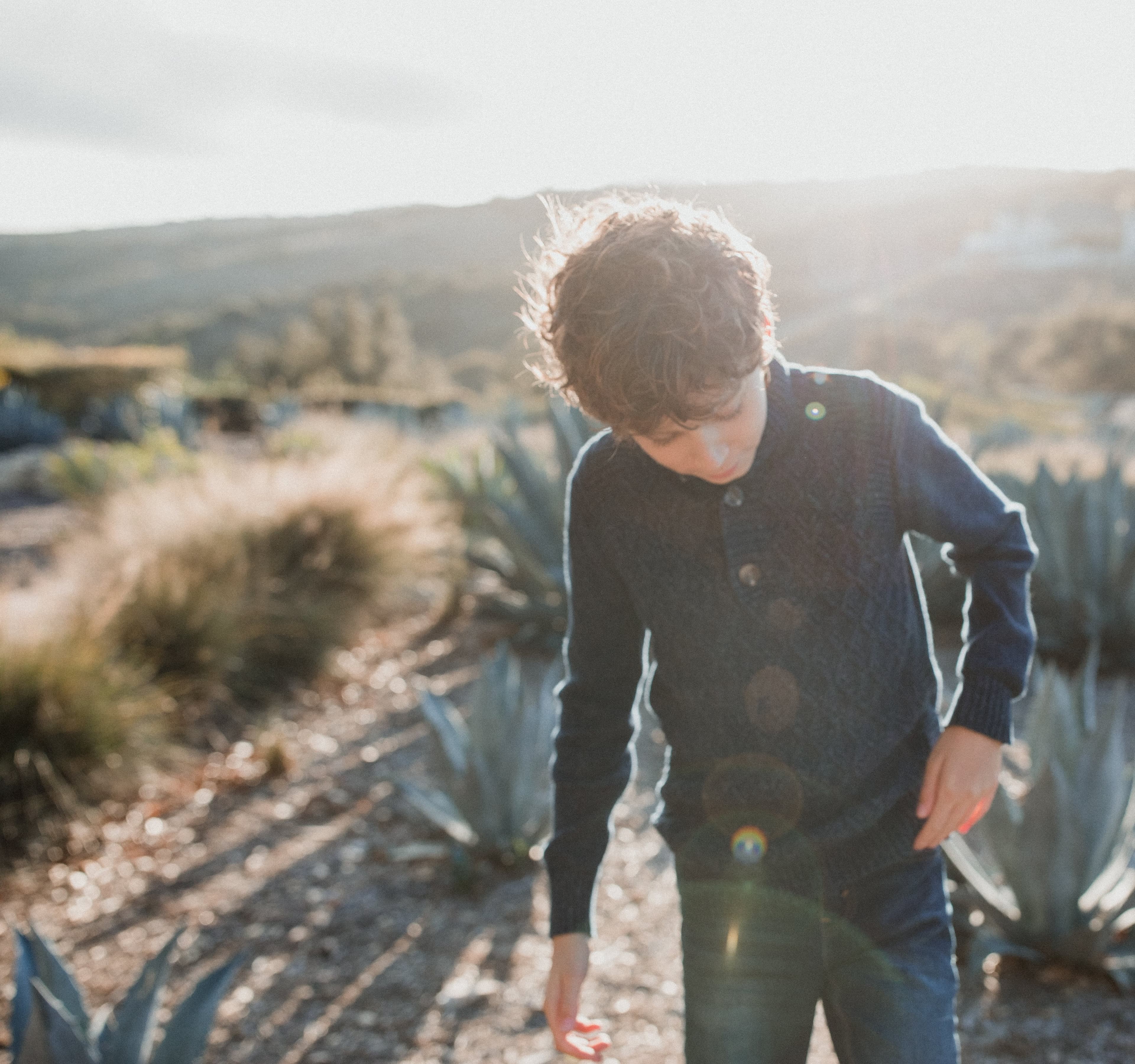 A young boy standing in a sun-drenched landscape with agave plants, capturing a moment of quiet connection with nature.